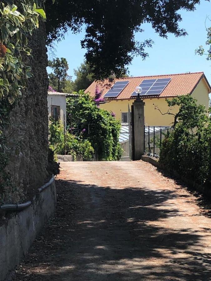 Agriturismo Soleada Ventimiglia Exterior foto