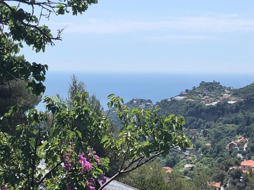 Agriturismo Soleada Ventimiglia Exterior foto